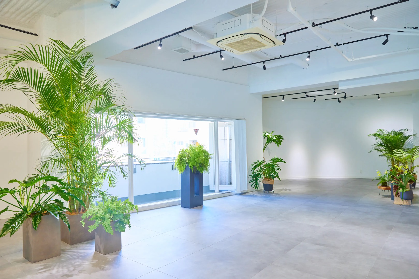 TAO STUDIO aoyama