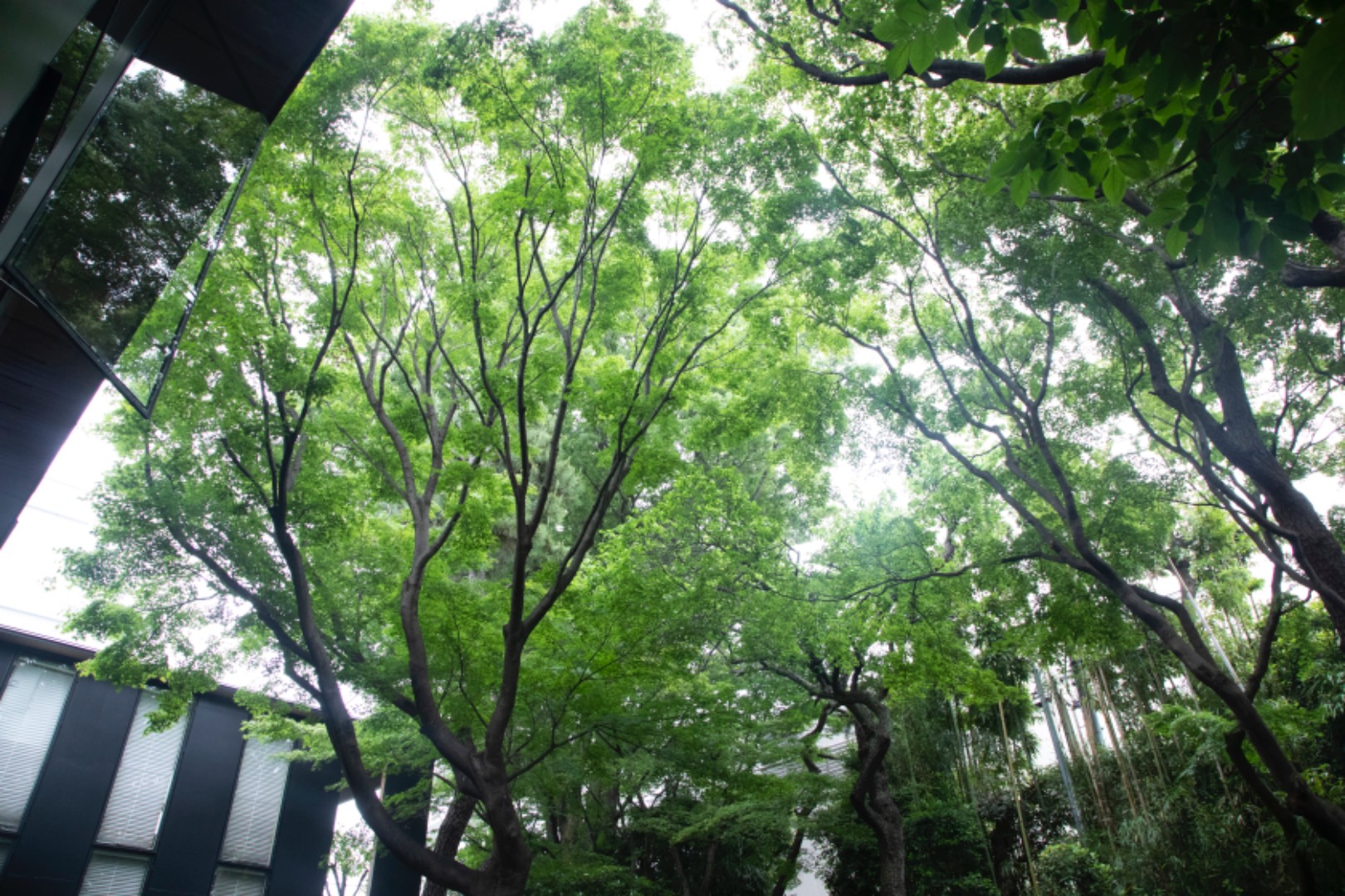 スタジオの画像