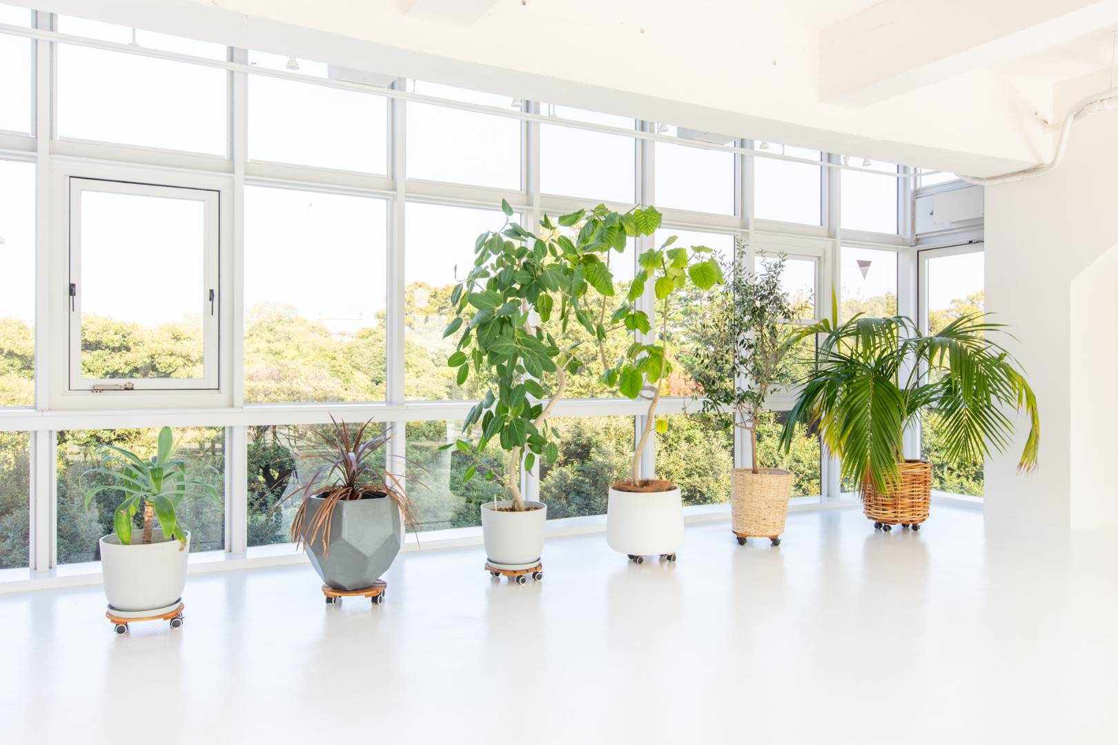 AC_GALLERY