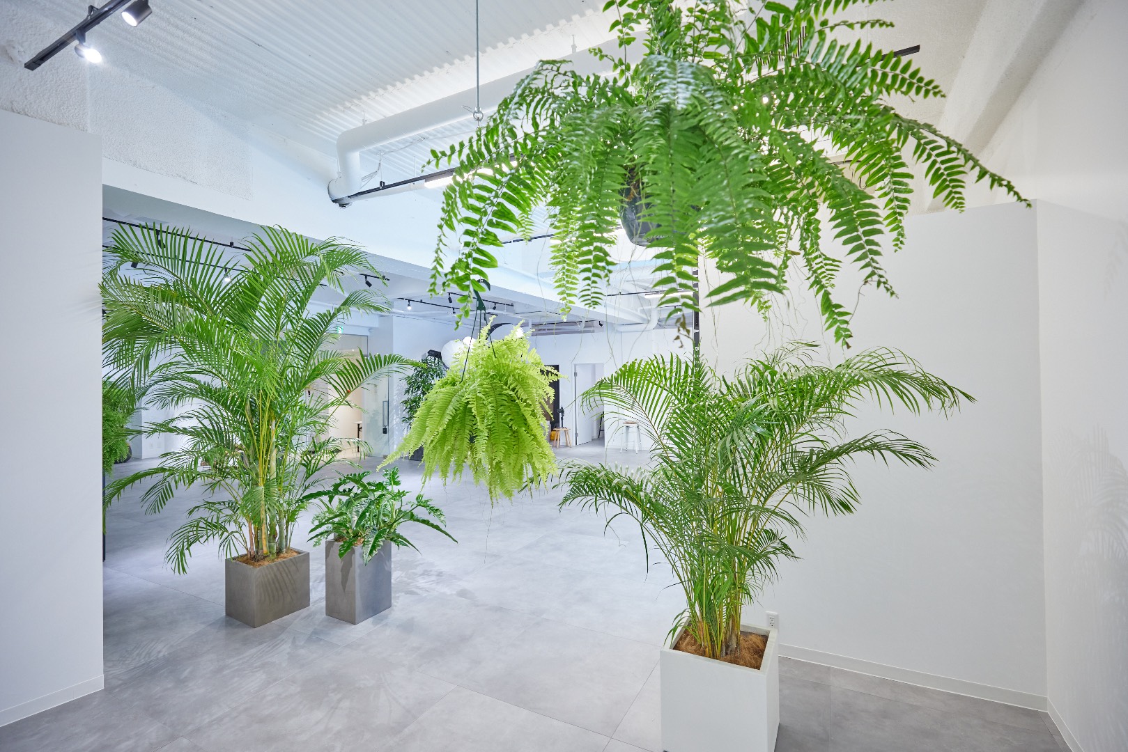 TAO STUDIO aoyama