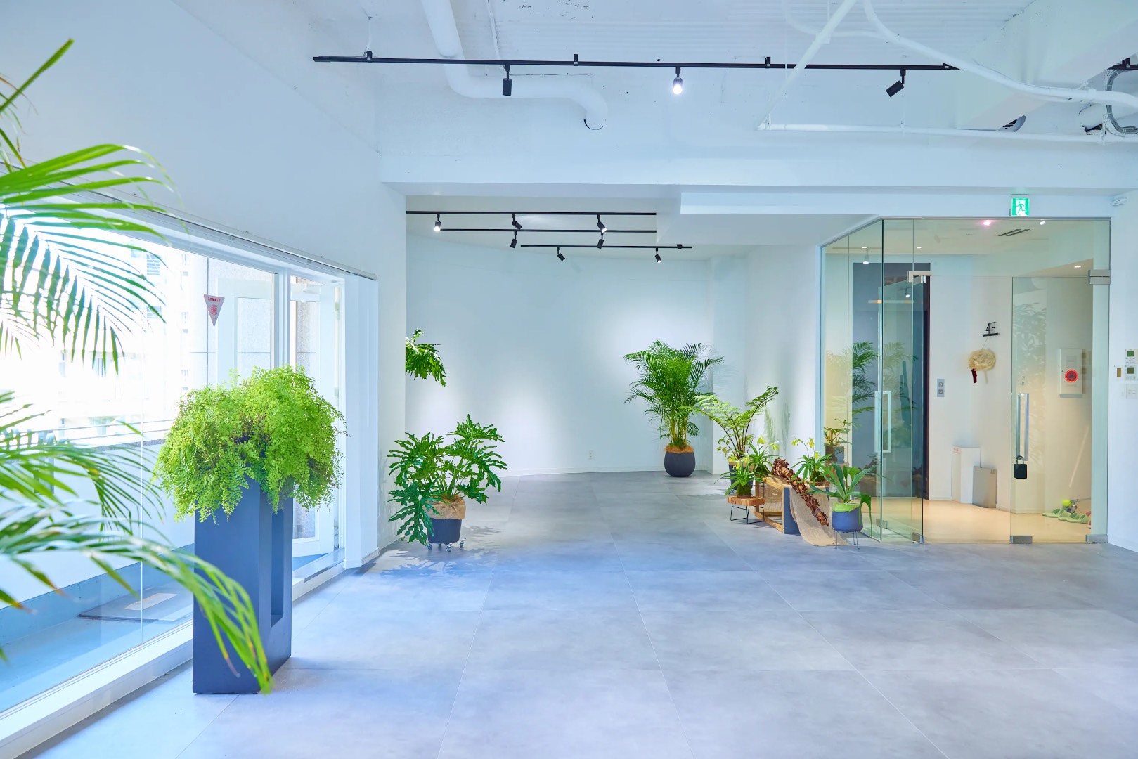 TAO STUDIO aoyama