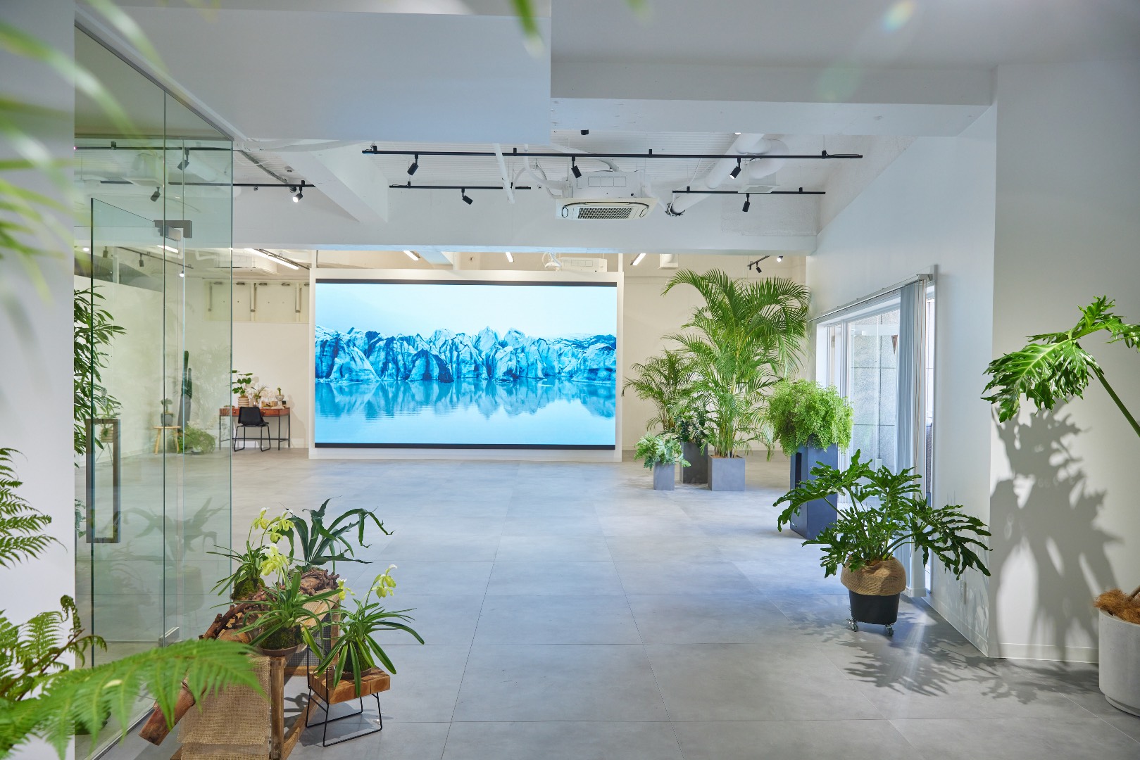 TAO STUDIO aoyama
