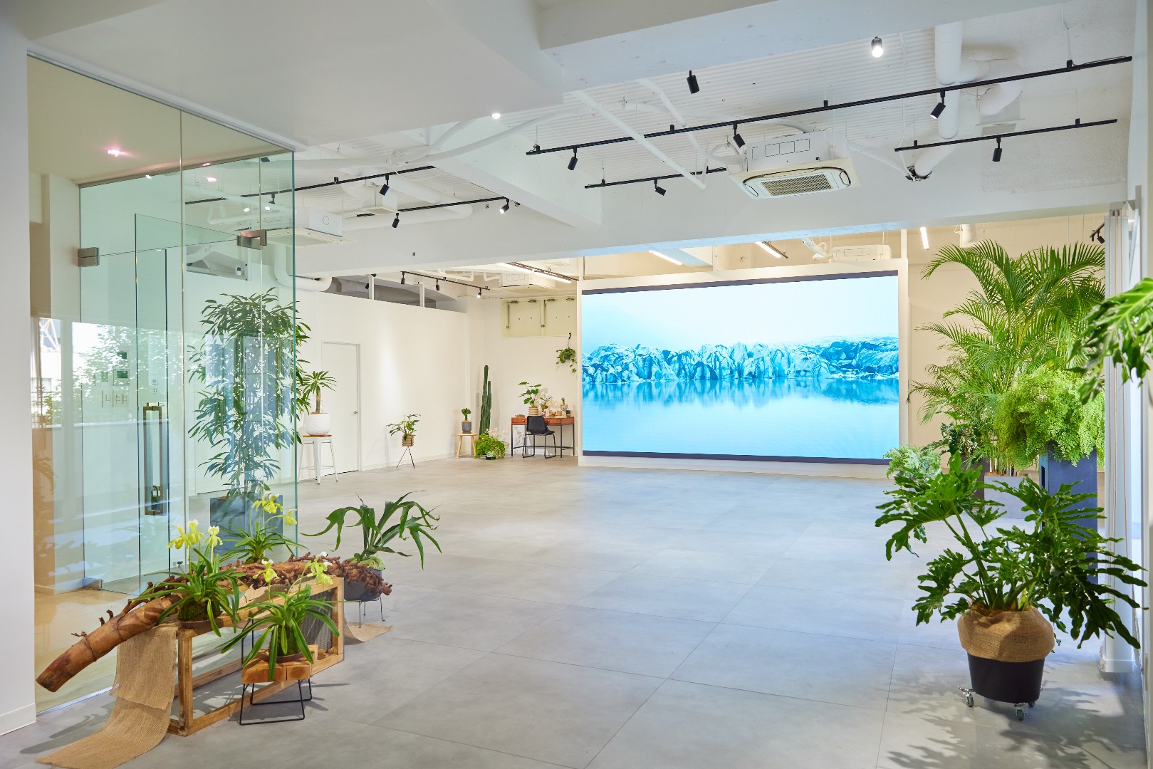 TAO STUDIO aoyama