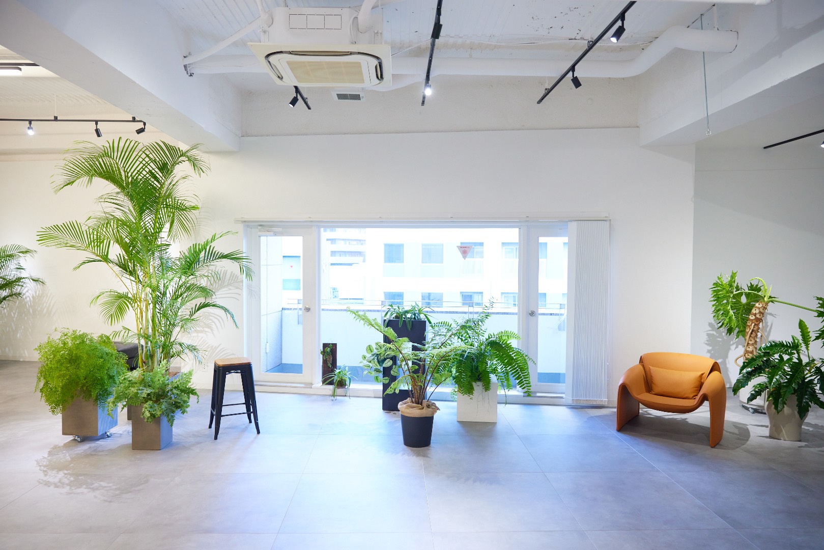 TAO STUDIO aoyama