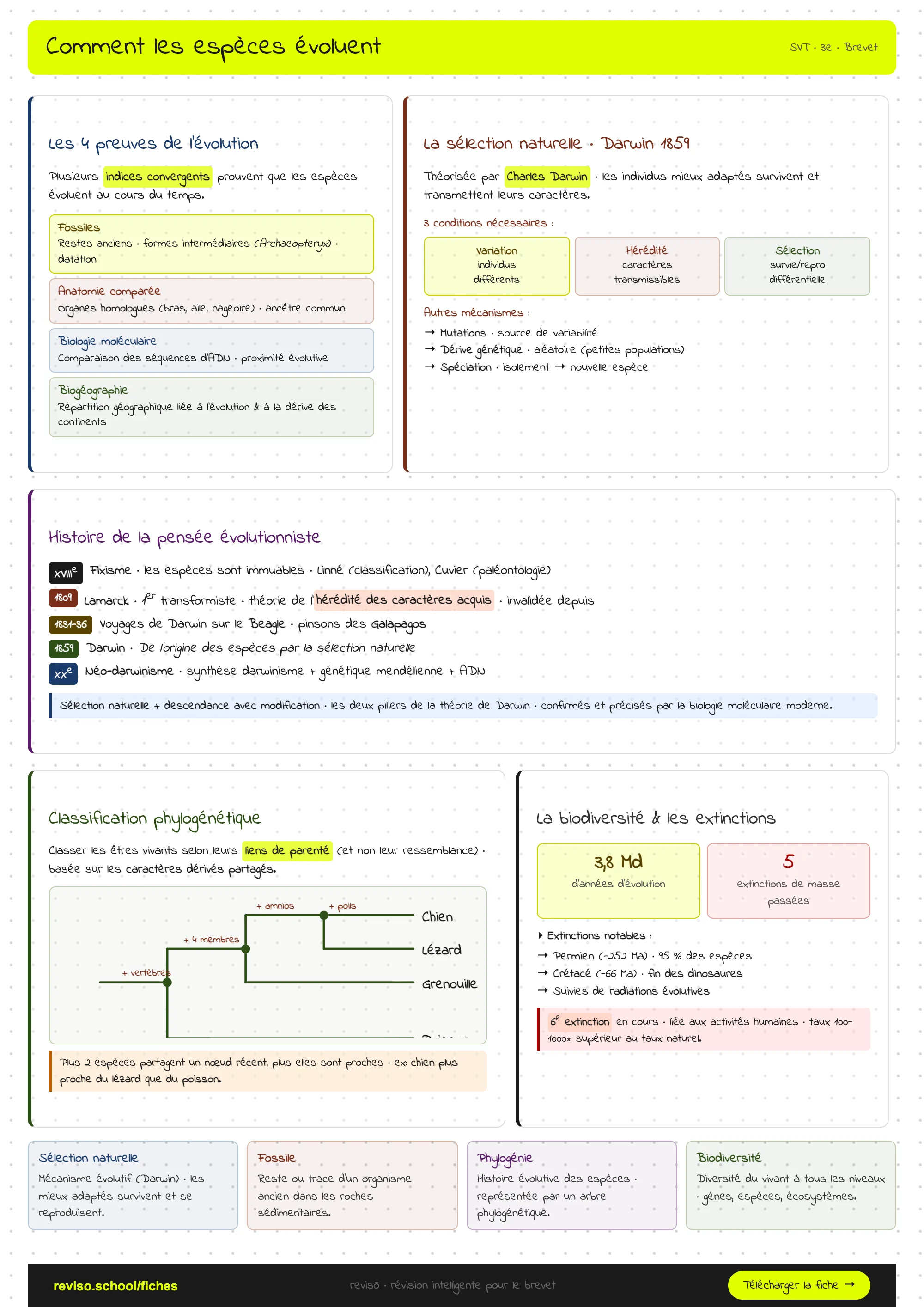 Comment les espèces évoluent