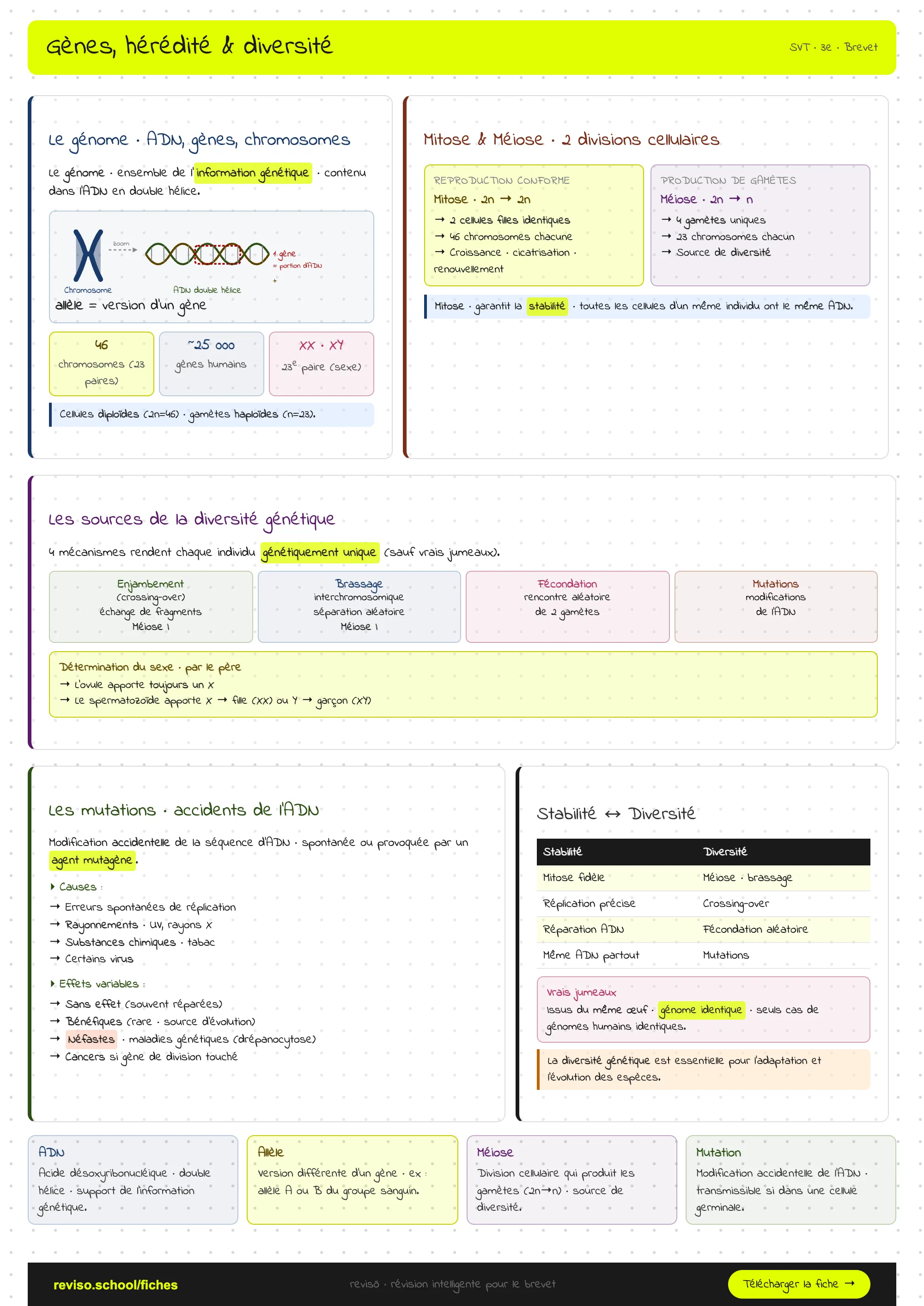 Gènes, hérédité et diversité