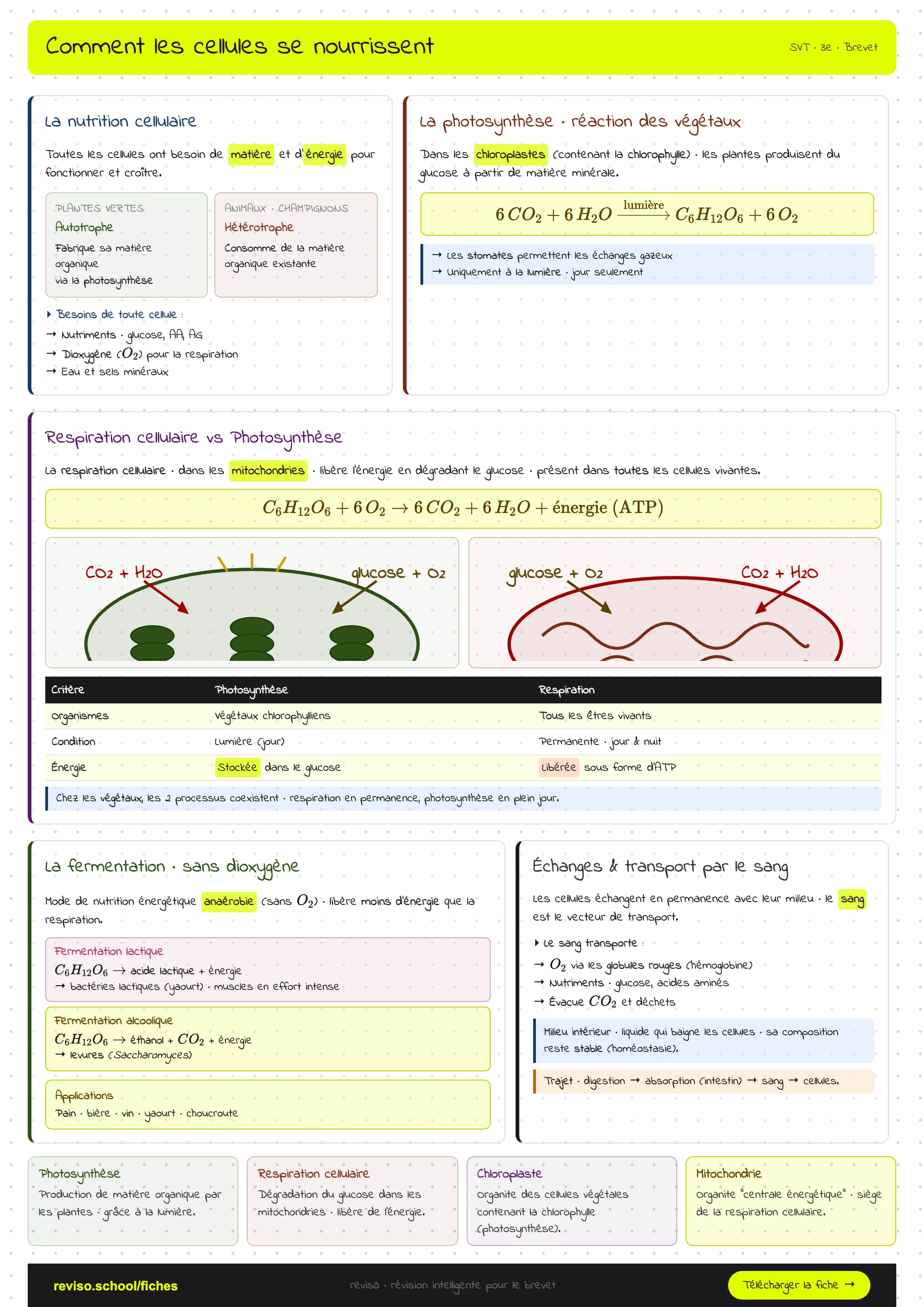 Comment les cellules se nourrissent