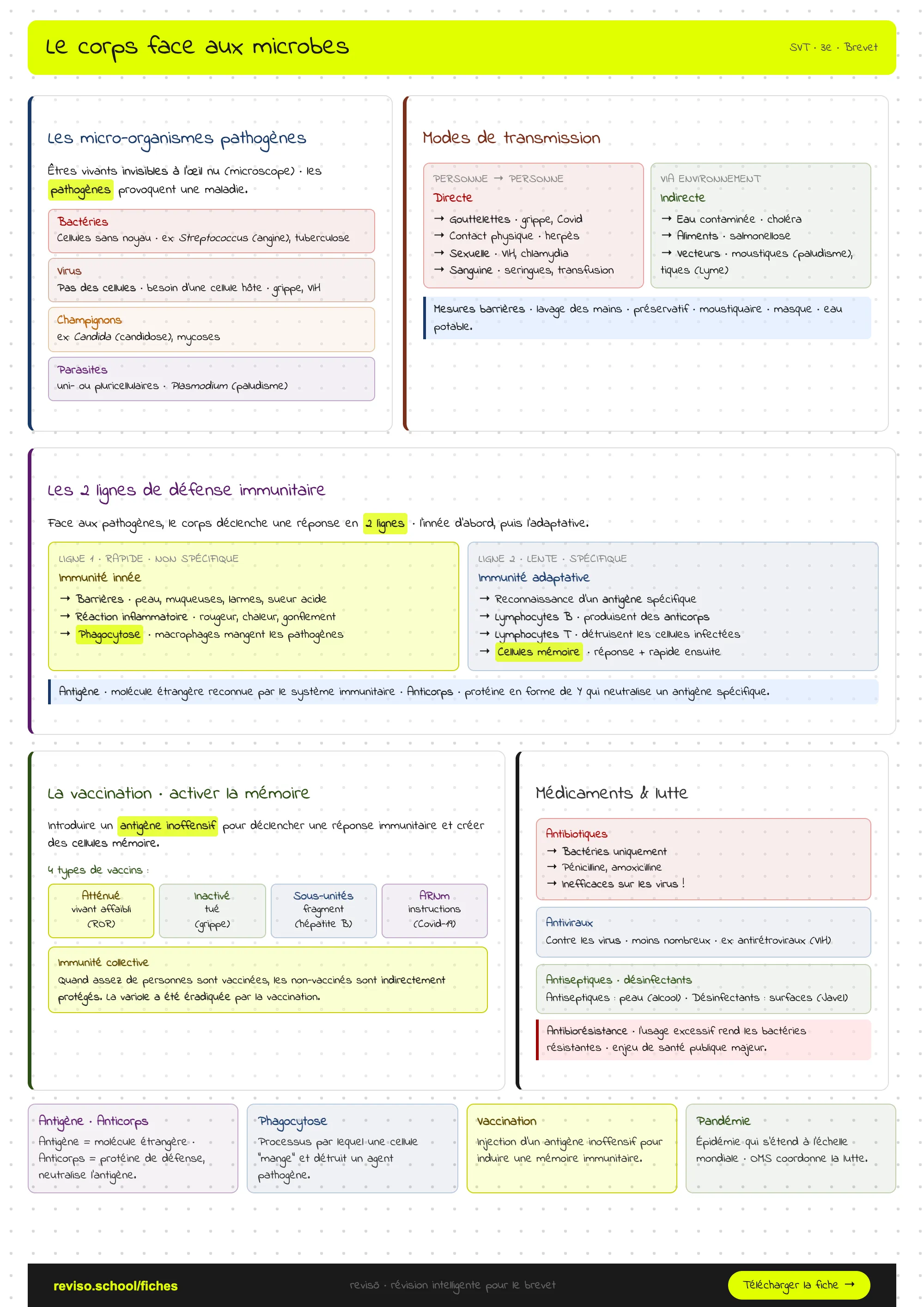 Le corps face aux microbes