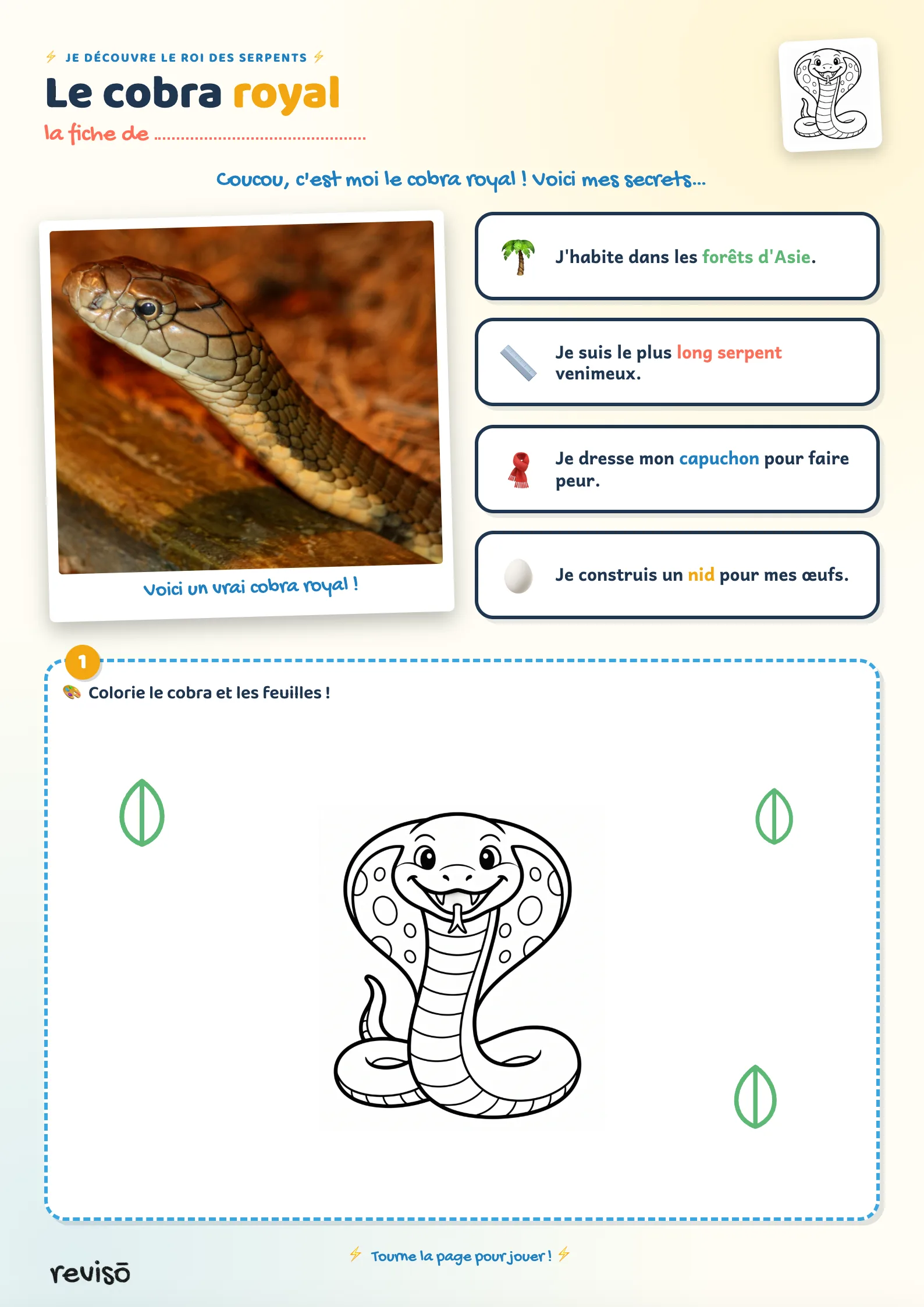 Le cobra royal
