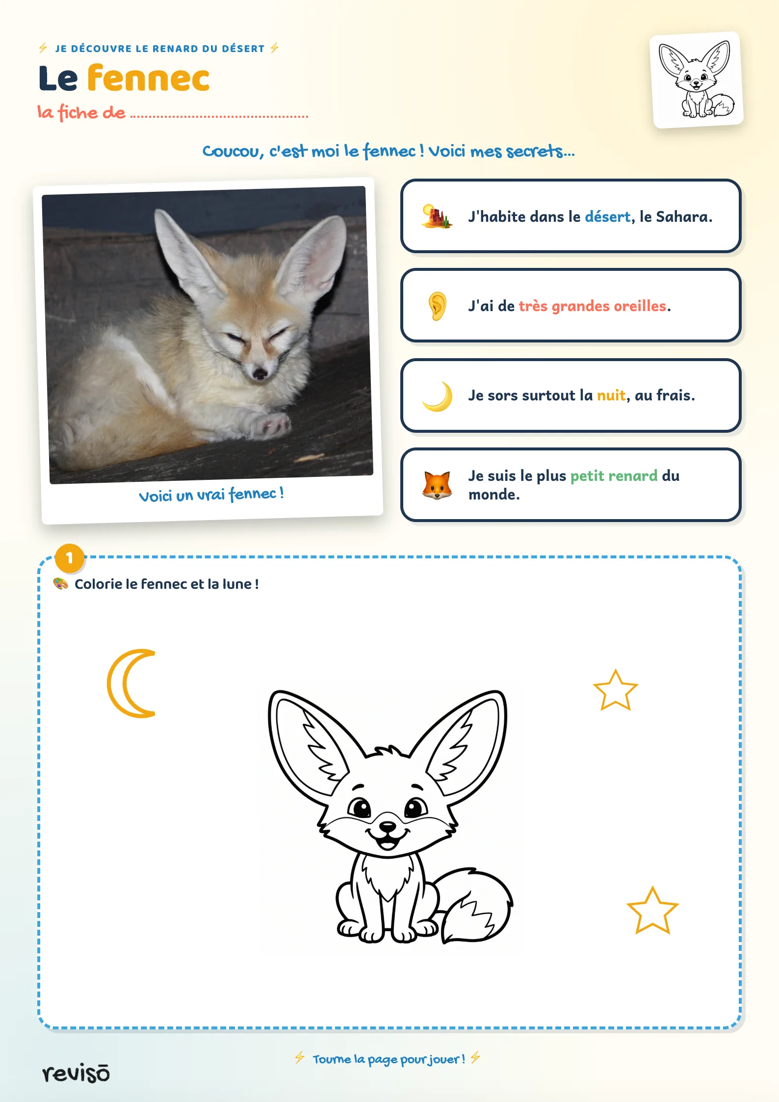 Le fennec