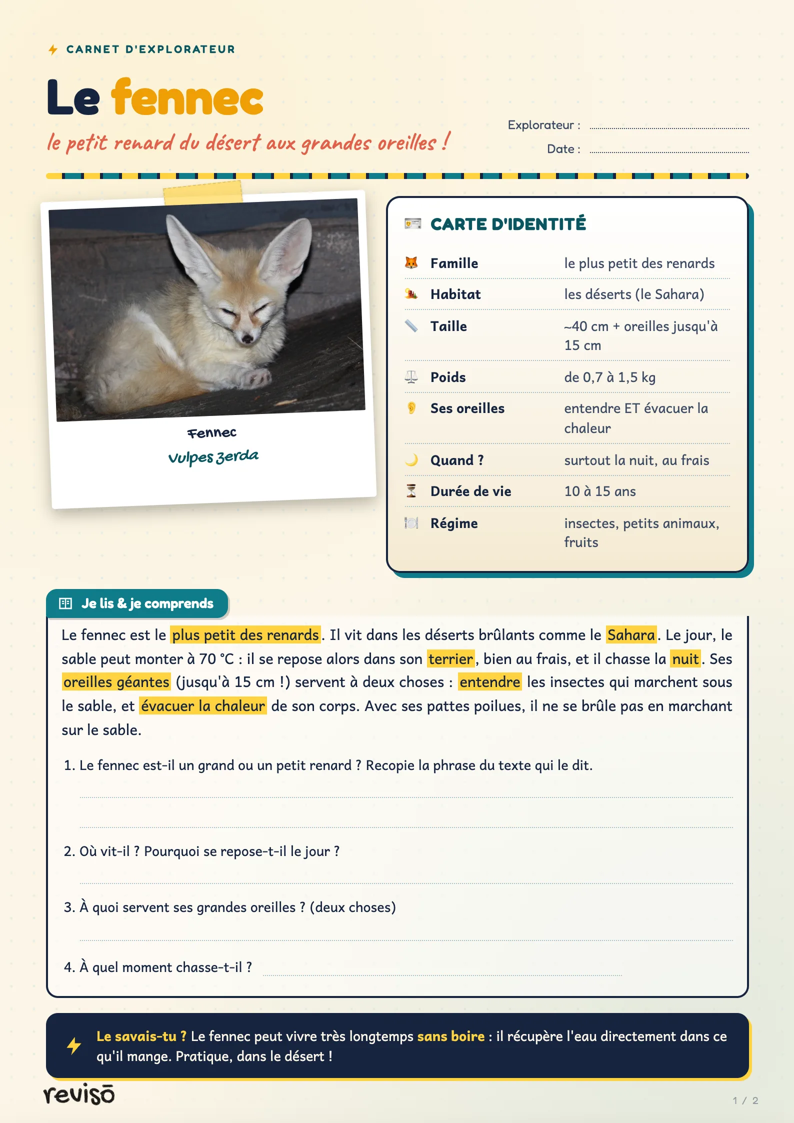 Le fennec