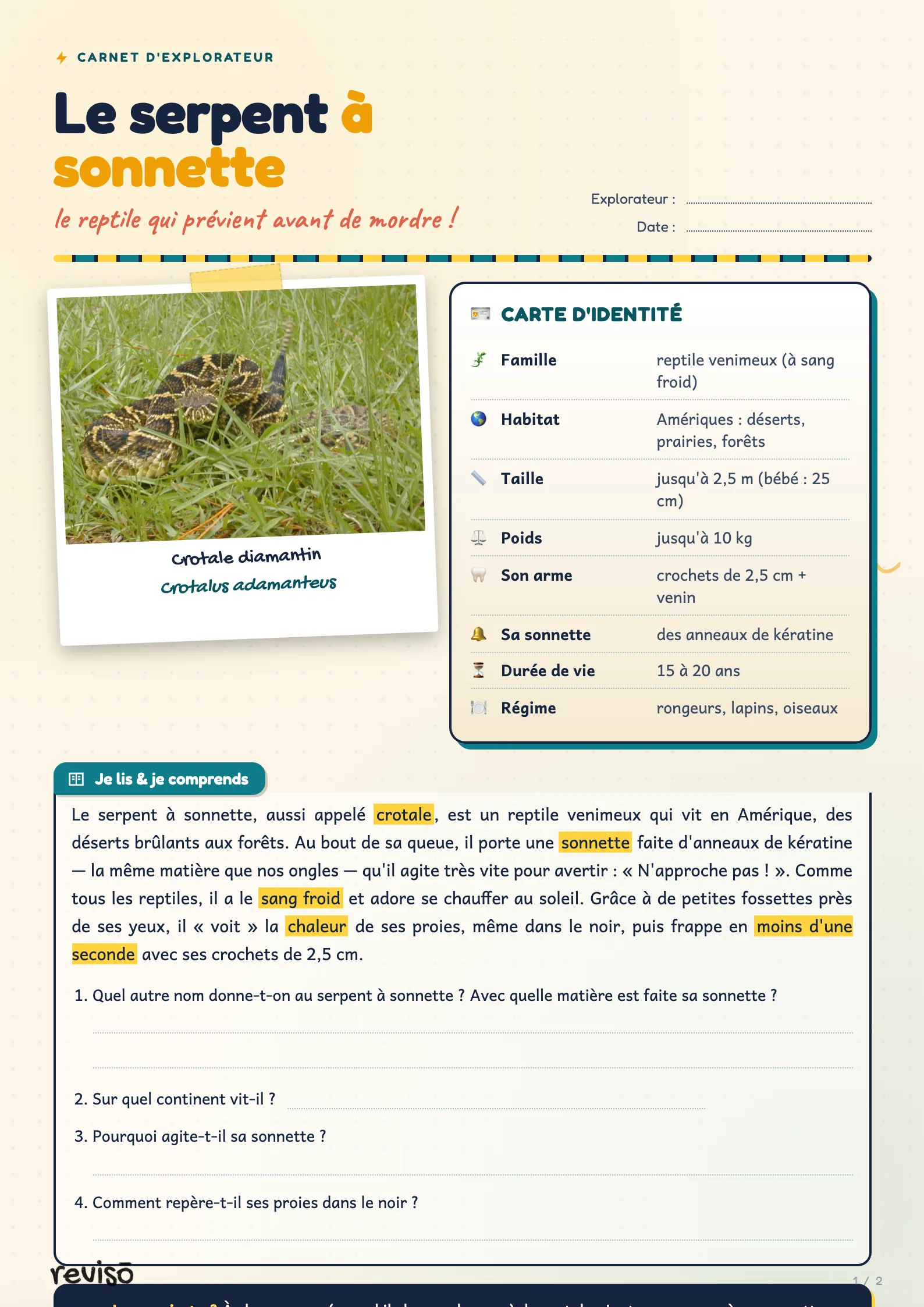 Le serpent à sonnette