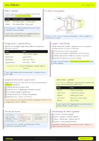 Aperçu de la fiche Les réflexes