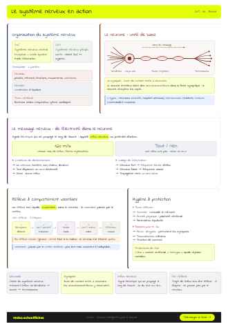 Aperçu de la fiche Le système nerveux en action