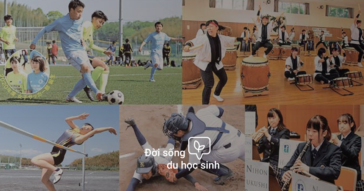 部活 và サークル、có điều gì khác nhau? Stulink