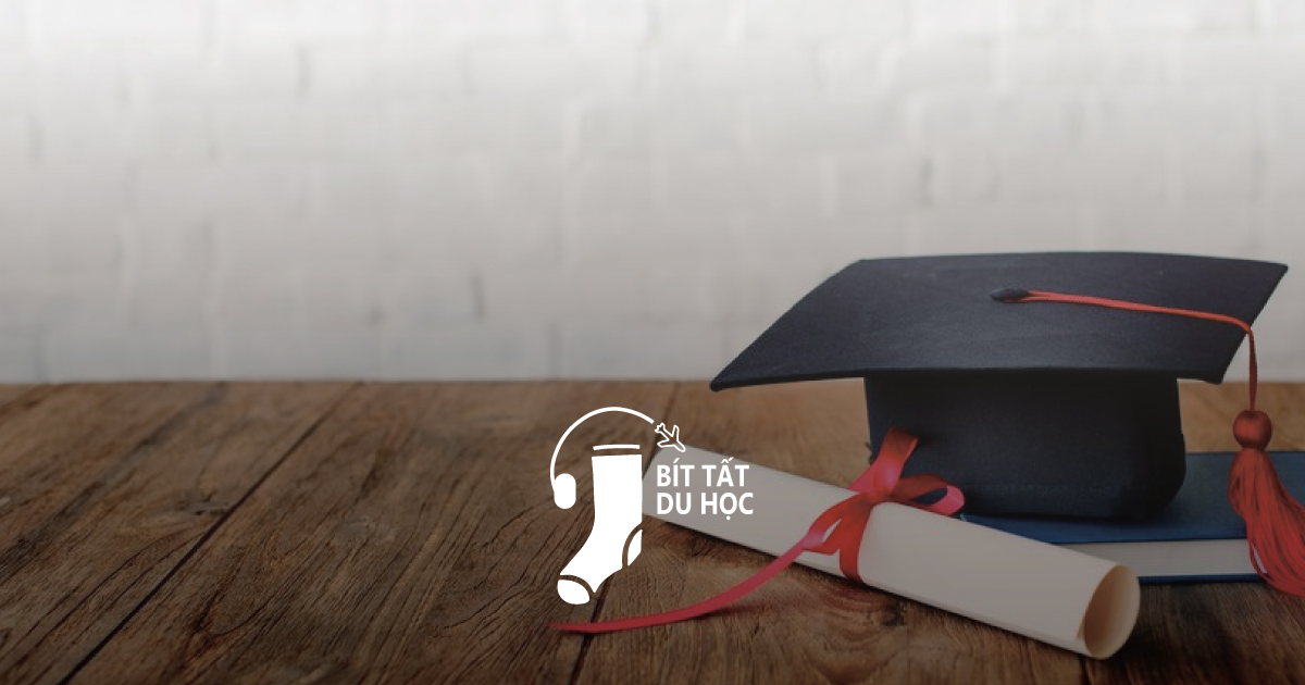 Học bổng hỗ trợ học tập - Một lựa chọn khác ngoài học bổng toàn phần Stulink
