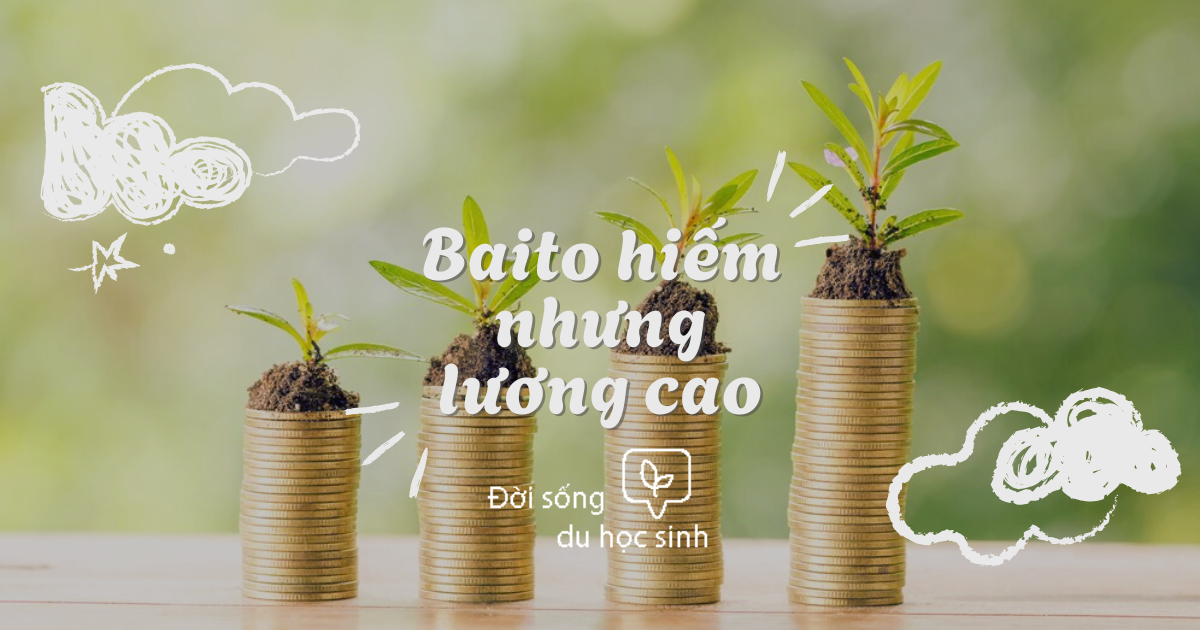 Các công việc làm thêm (baito) hiếm nhưng lương cao dành cho du học sinh tại Nhật Bản Stulink
