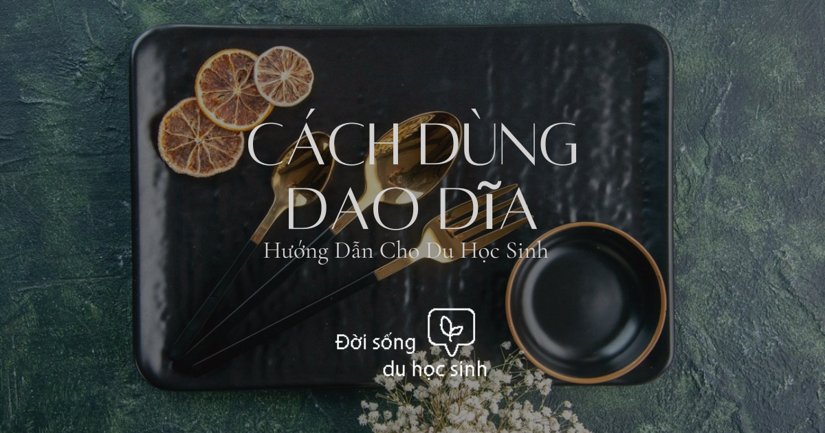 Cách Dùng Dao Dĩa – Hướng Dẫn Cho Du Học Sinh  Stulink