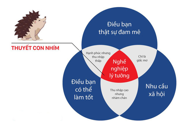 thuyết con nhím trong chọn ngành