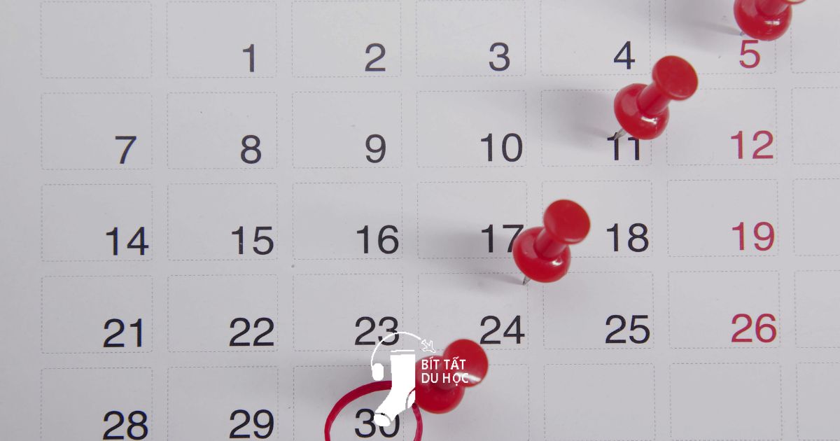 Visa Du Học Nhật Mất Bao Lâu Để Có Kết Quả? Timeline Thực Tế Từ Nộp Đến Nhận Stulink