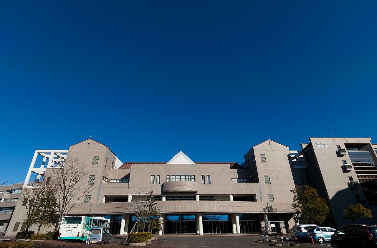 Đại học Tama Banner