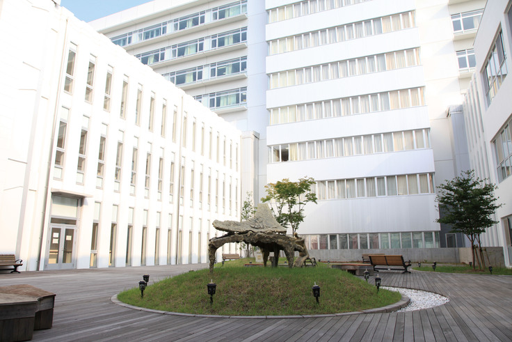 Đại học Y khoa Hamamatsu Banner