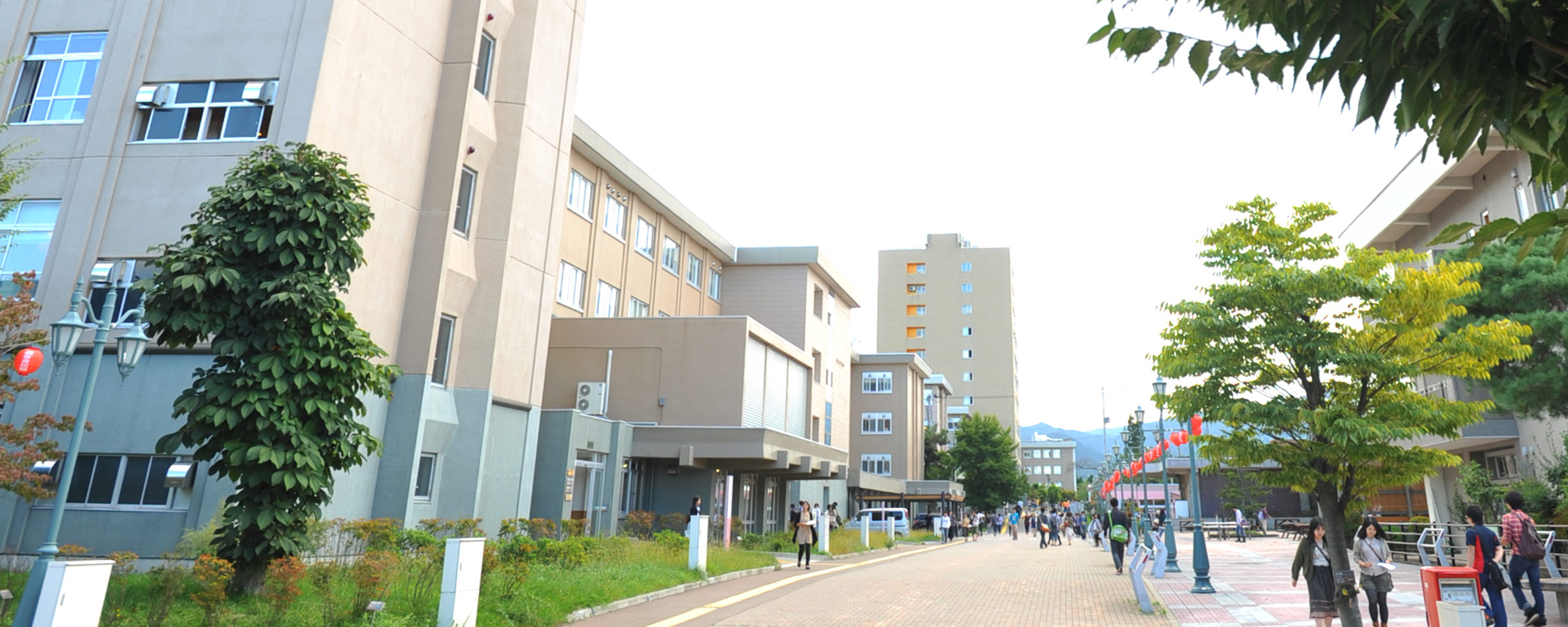 Đại học Hirosaki Banner