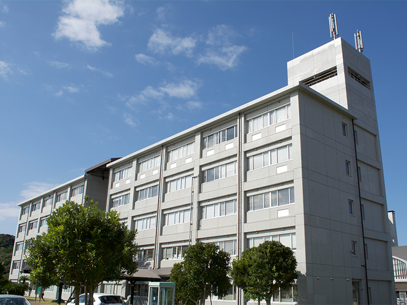 Đại học Võ đạo Quốc tế Banner