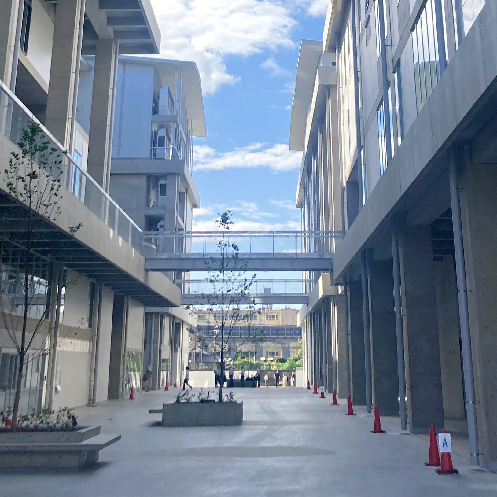 Đại học Thành phố Kyoto về Nghệ thuật Banner