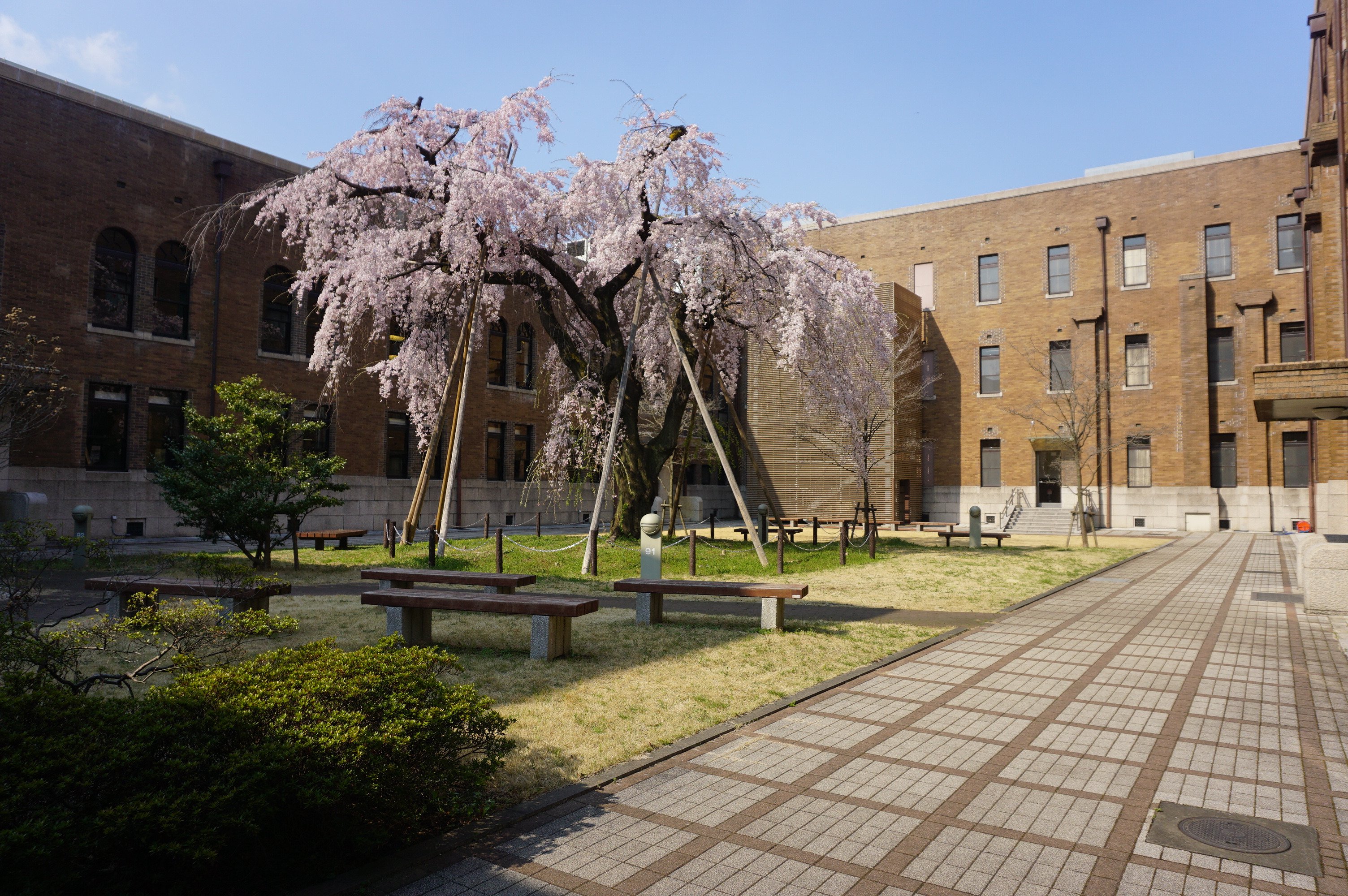 Đại học Ochanomizu Banner