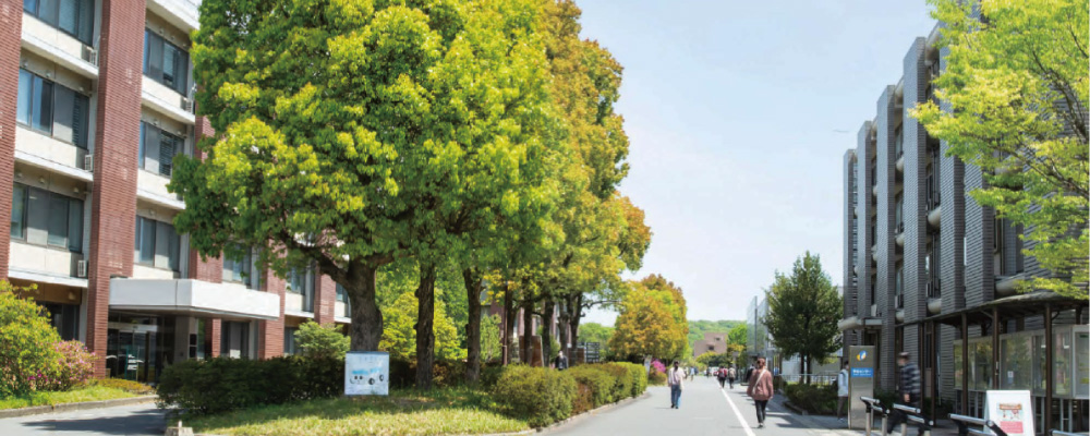 Đại học Oita Banner