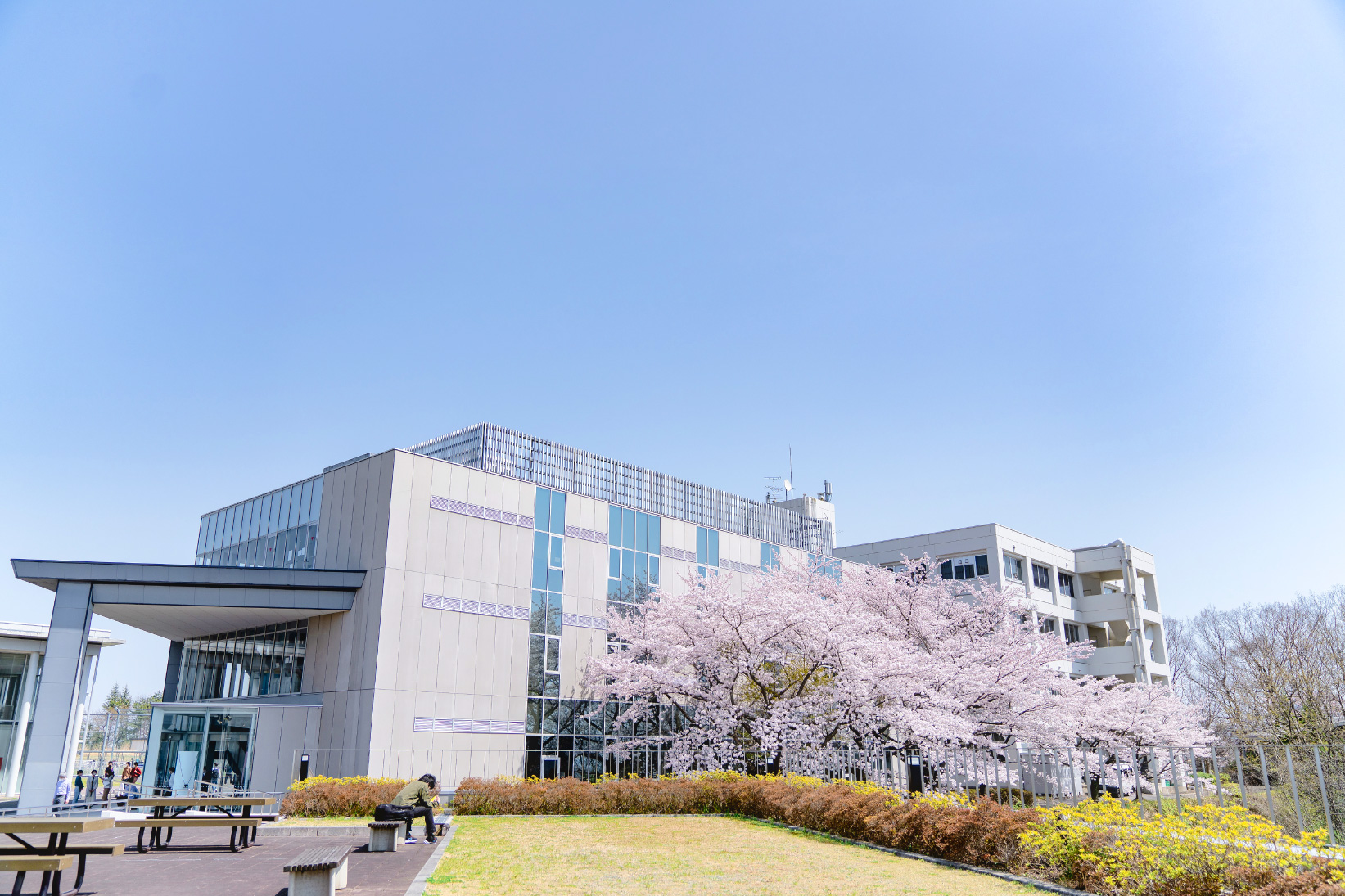 Đại học Công nghiệp Tohoku Banner