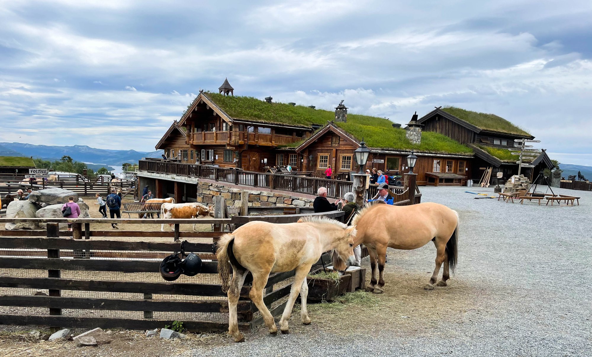 Aspiranter og juniorer på korpstur