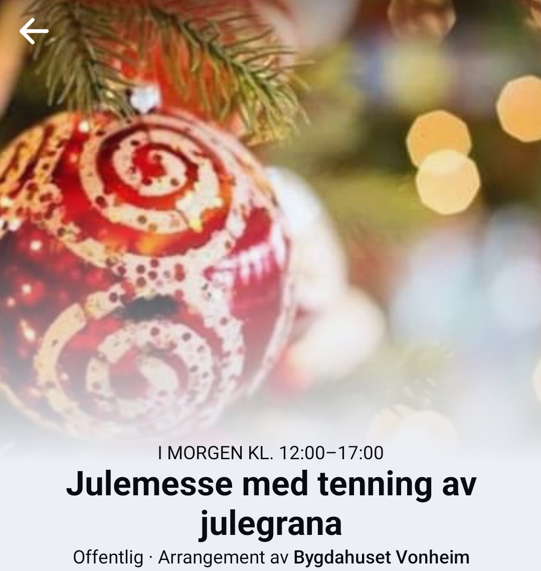 Julemesse på Vonheim 3.12.2023