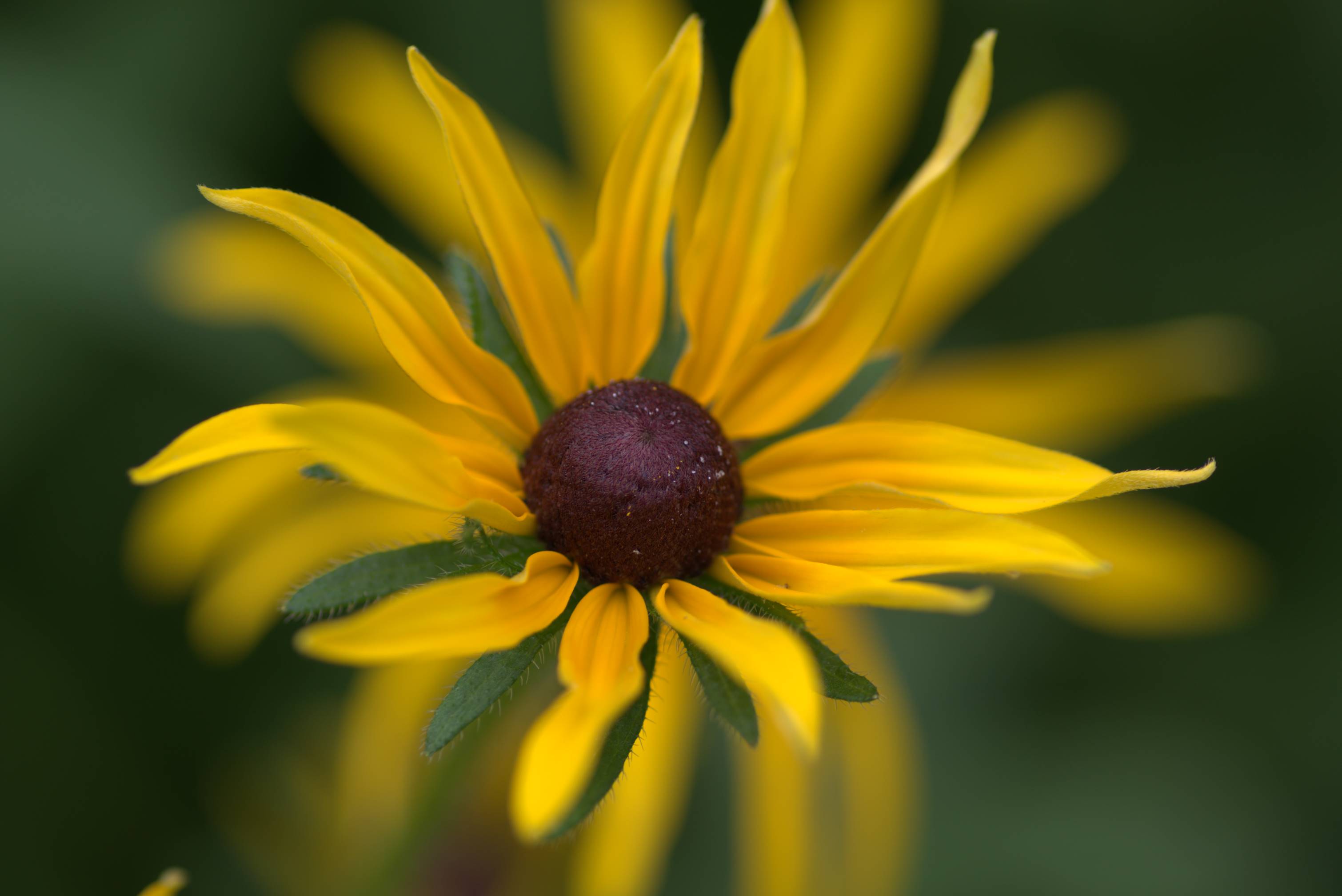 Velkommen til konsert!
