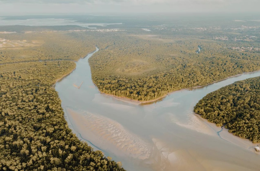 Uma Jornada de Exploração da Amazônia e Descoberta Cultural - Foto 2