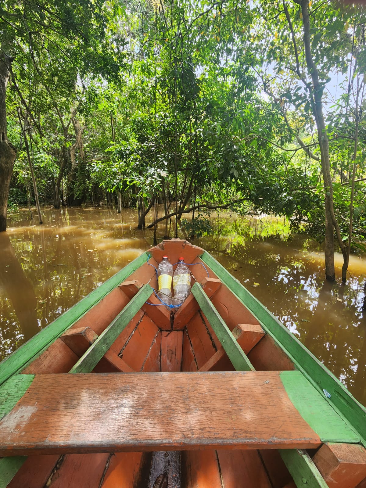 Alter do Chão - Foto 4