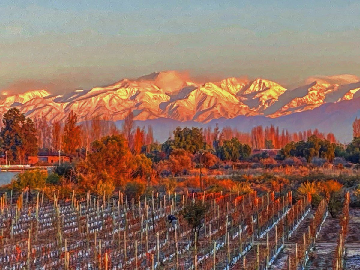 Mendoza