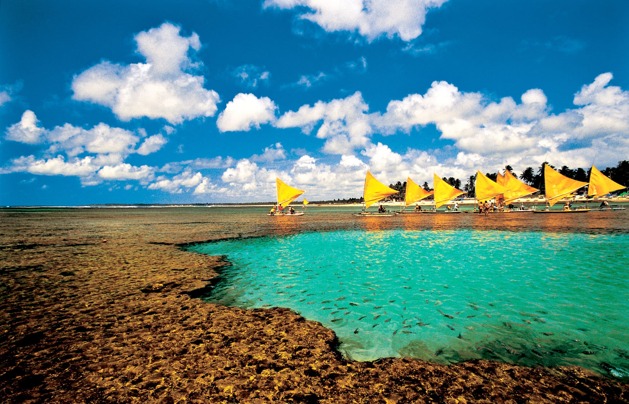 Porto de Galinhas - Foto 1