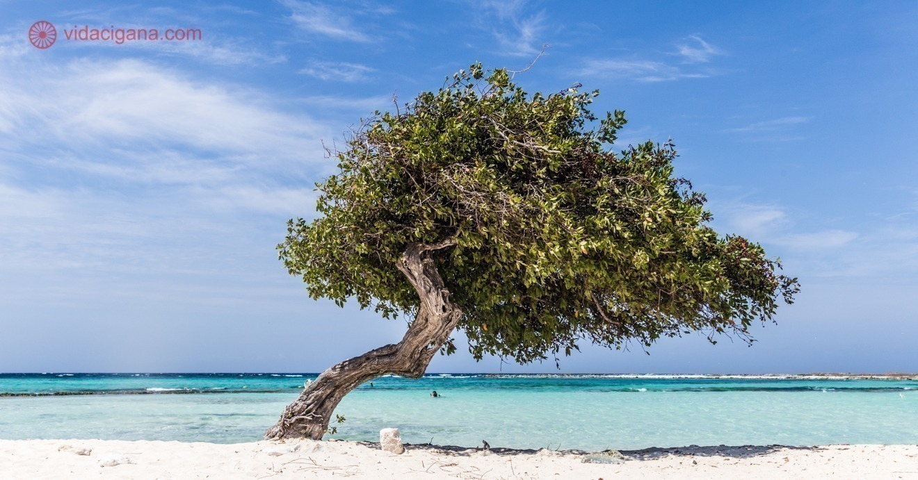 Aruba - Foto 1