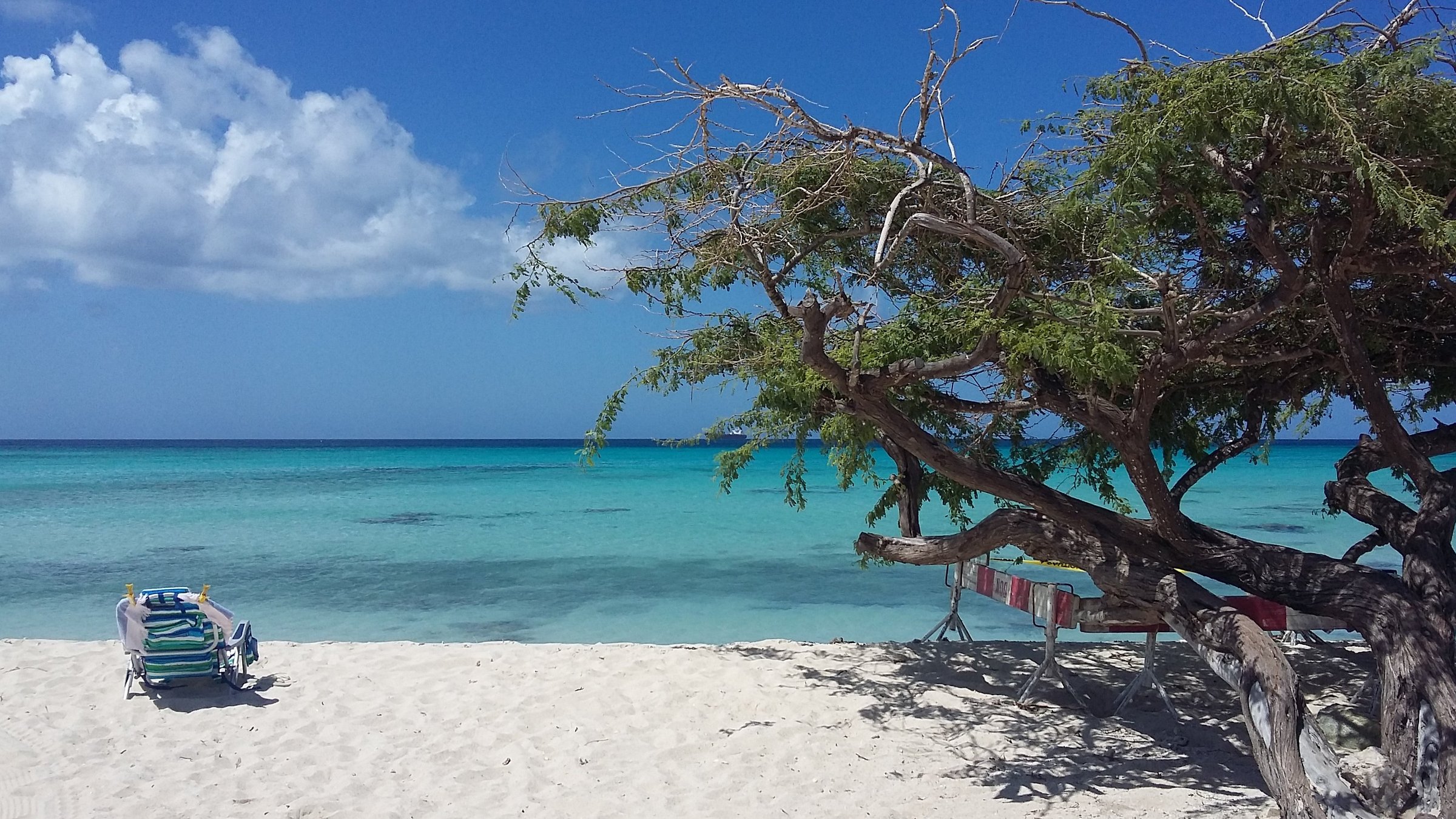 Aruba - Foto 7