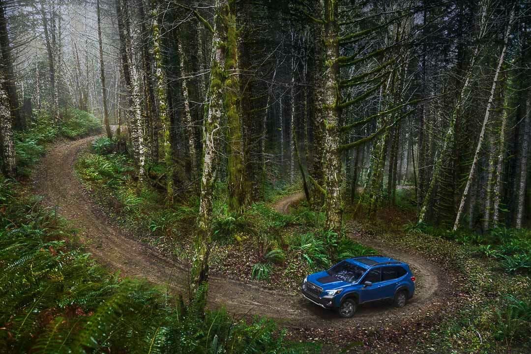 Un VUS Subaru Forester 2022 modèle Wilderness roulant sur un chemin hors-route en nature.