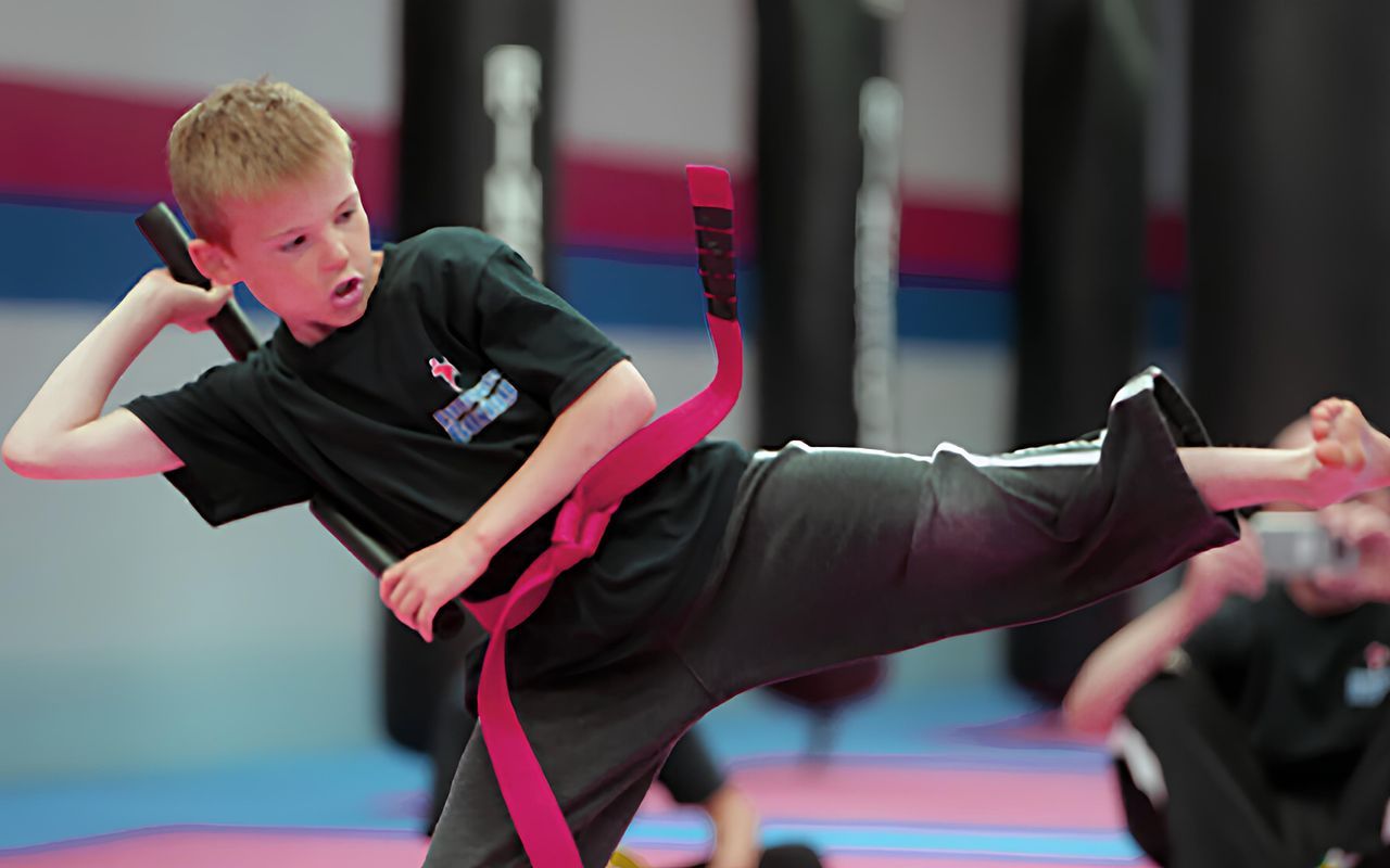 Martial Arts Teachers Membership Options