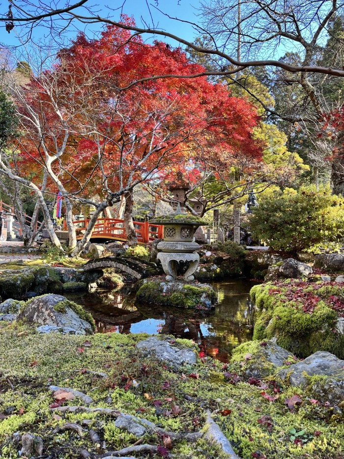 2-Week Meditation Journey