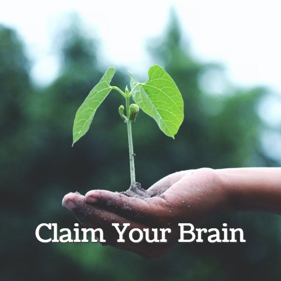 Claim Your Brain (Self-paced)