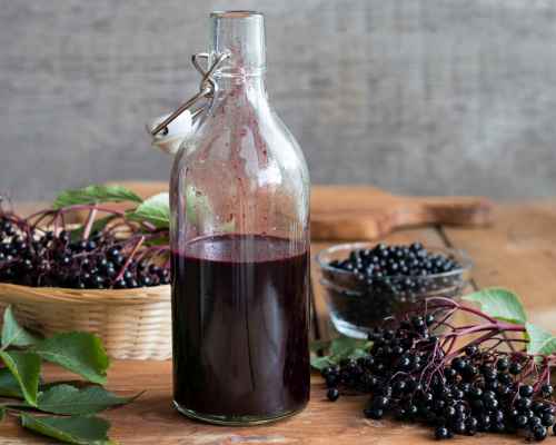 Herbalism Basics Membership