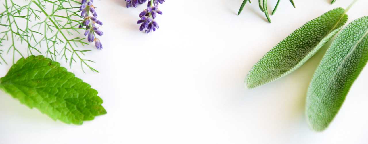 herbal image background