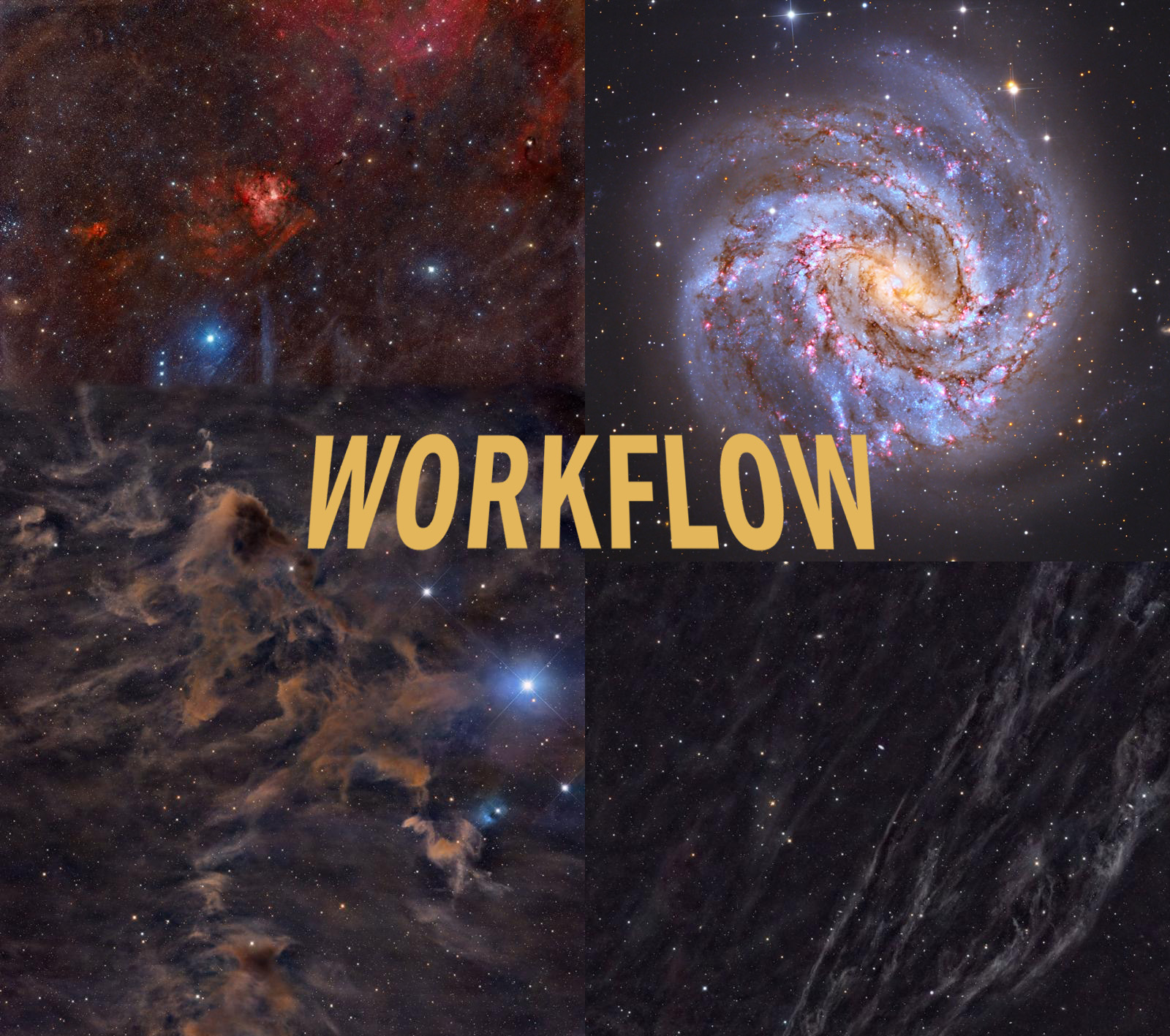 Workflow Examples