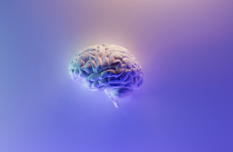    The Mind   
  Emotions and mental health  