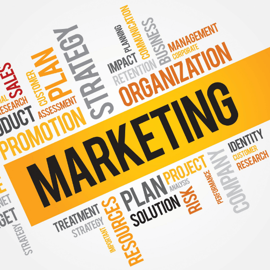    Marketing     